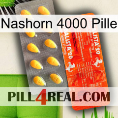 Rhino 4000 Pill new01